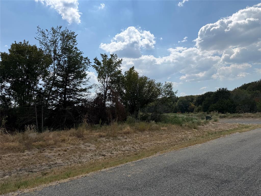 Lot 6 County Road 1110 Property Photo 6