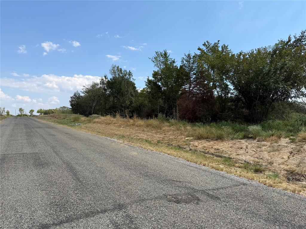Lot 6 County Road 1110 Property Photo 8