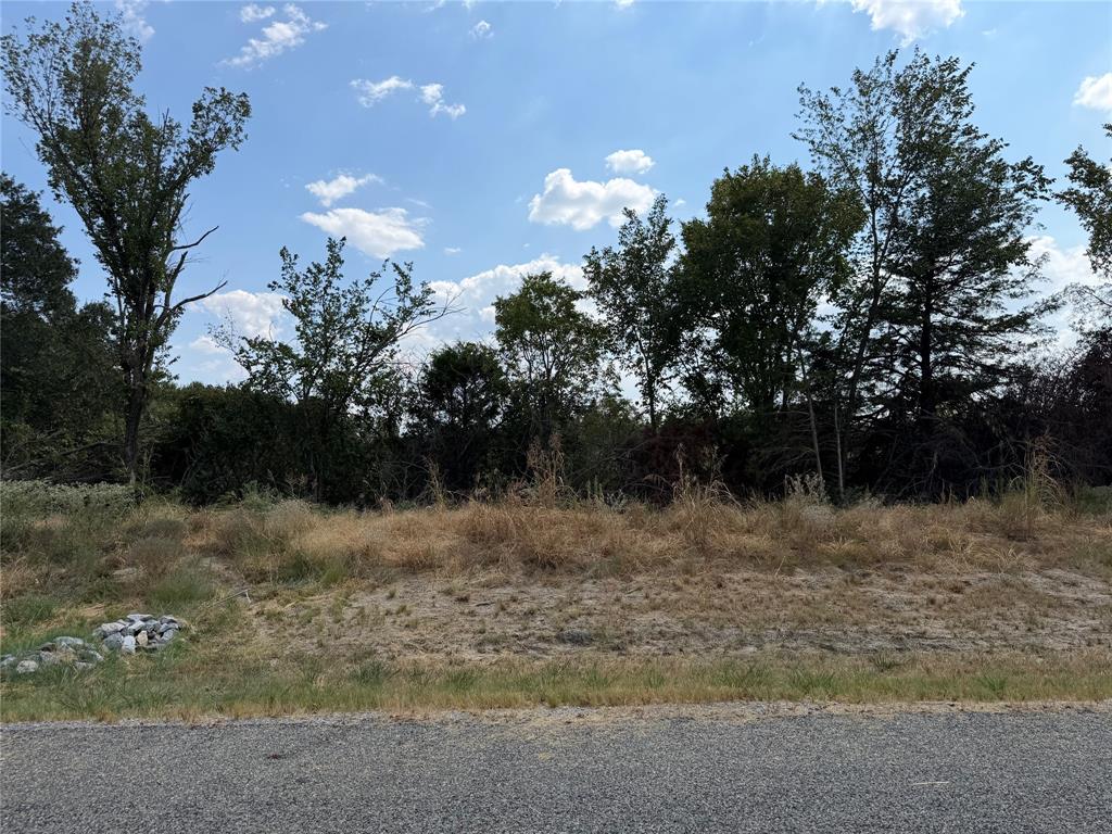 Lot 6 County Road 1110 Property Photo 10