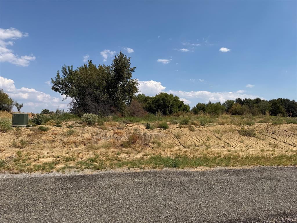 Lot 6 County Road 1110 Property Photo 19