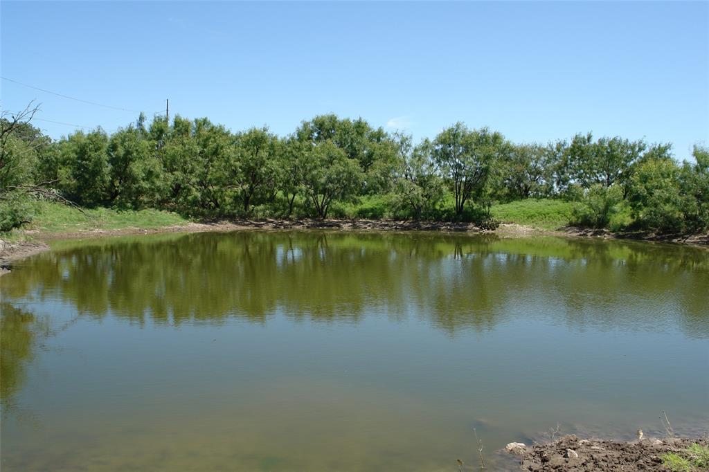 Tbd County Road 146 Property Photo 6
