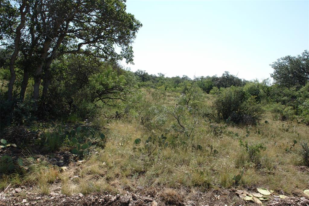 Tbd County Road 146 Property Photo 29