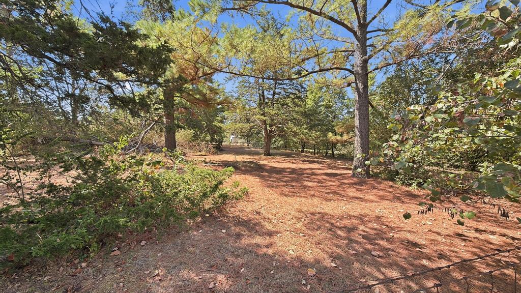 1027 Highway 377 Property Photo 22