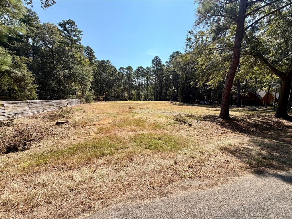 18084 Deer Trail Property Photo 2