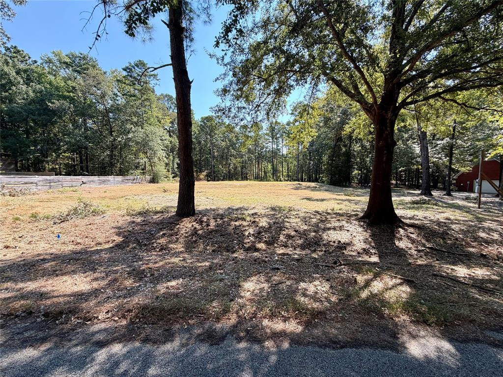 18084 Deer Trail Property Photo 3