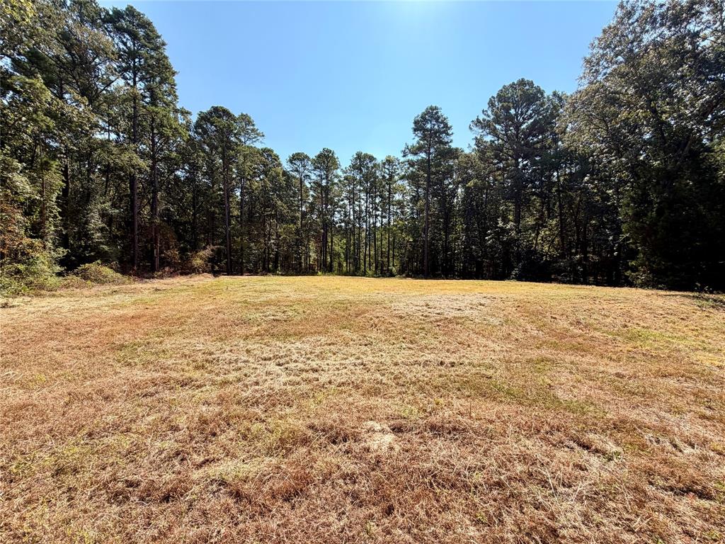 18084 Deer Trail Property Photo 5