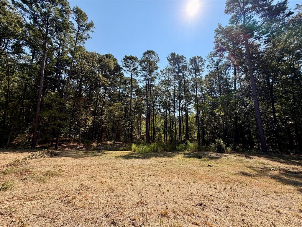 18084 Deer Trail Property Photo 6