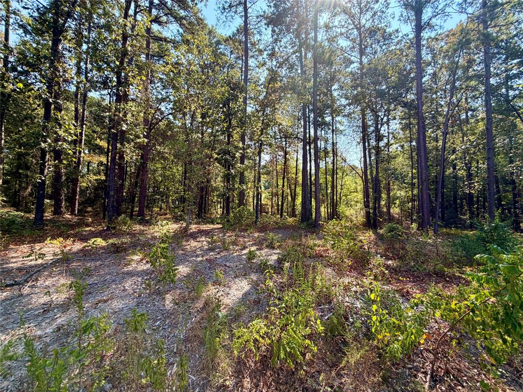 18084 Deer Trail Property Photo 7