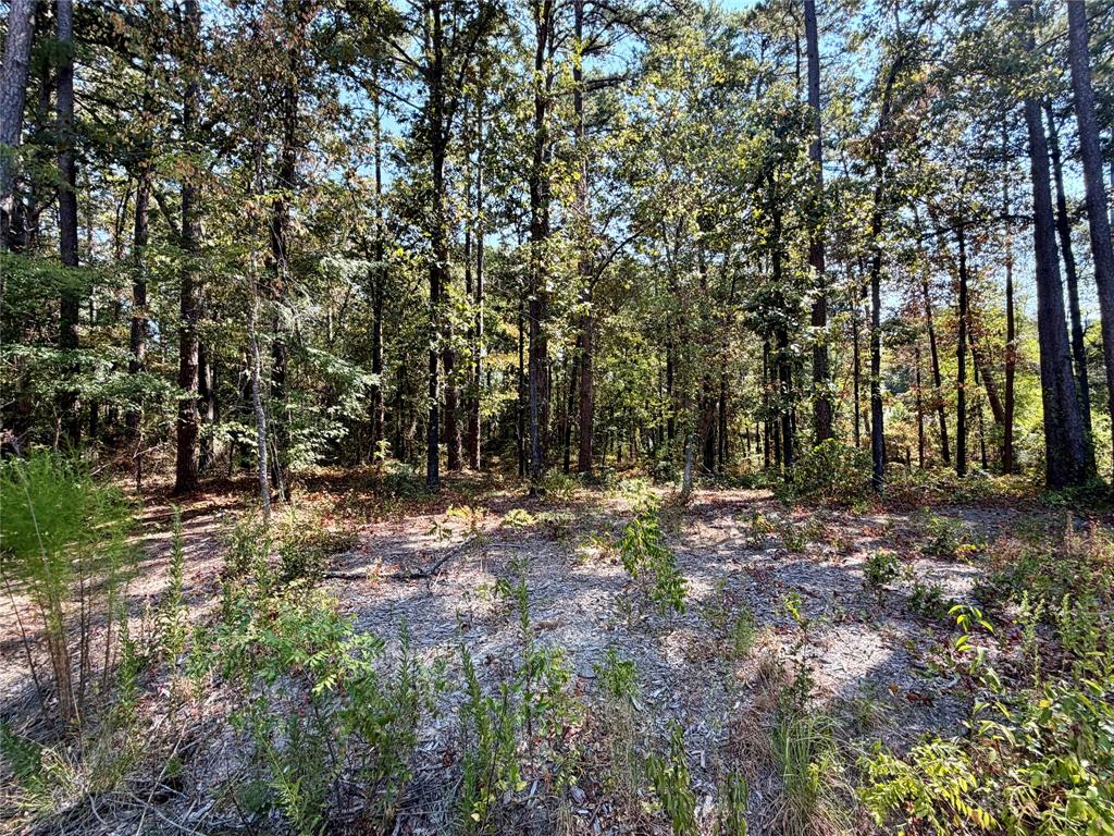 18084 Deer Trail Property Photo 8