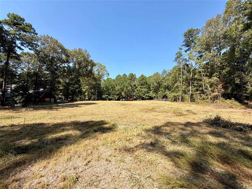 18084 Deer Trail Property Photo 9
