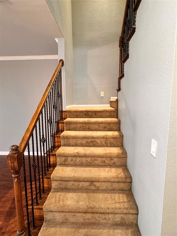 7585 Ravenhill Drive Property Photo 19