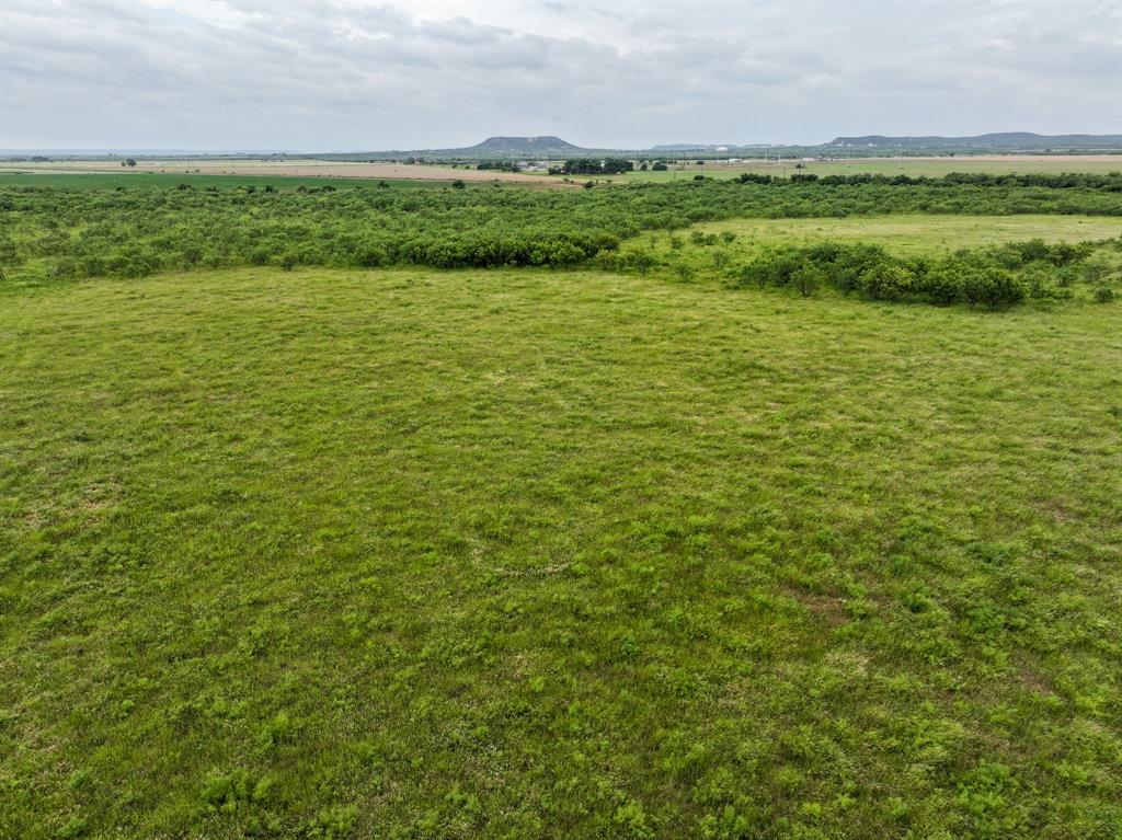 152 Badger Den Property Photo 5