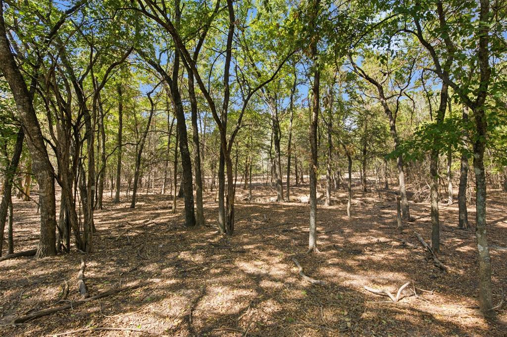 5000 Fm 2947 Property Photo 34