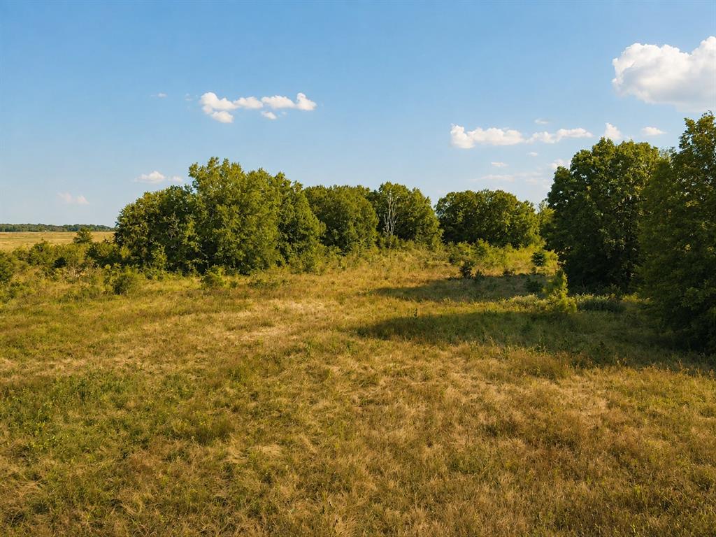 Tbd Fm 410 Property Photo 2