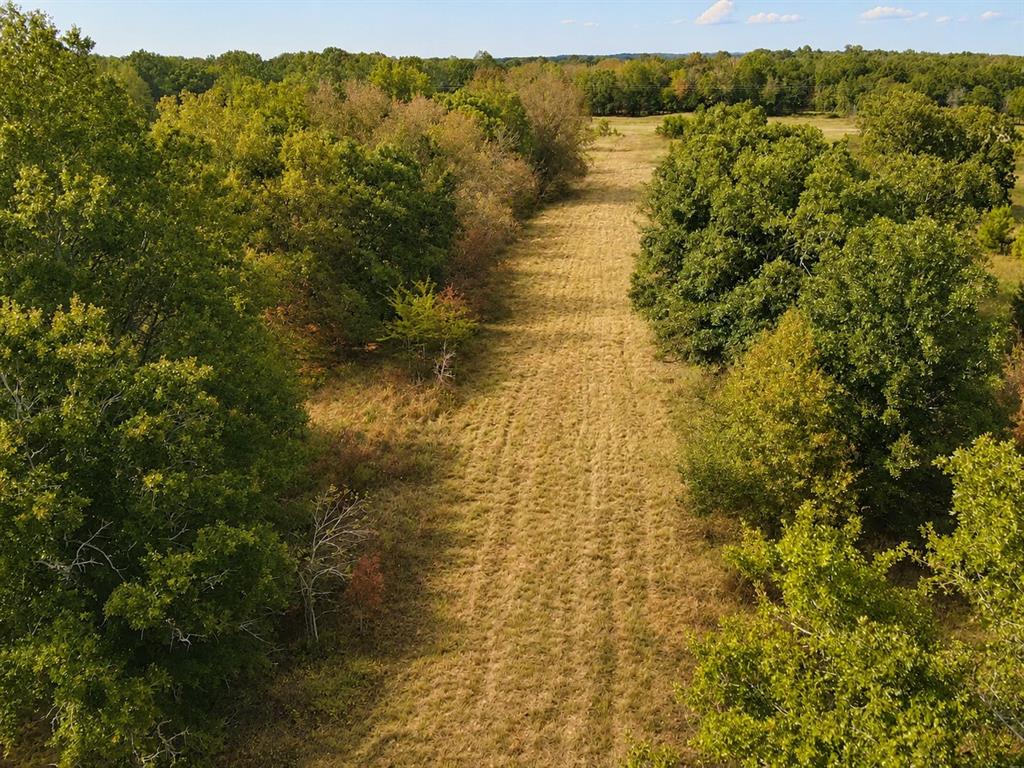 Tbd Fm 410 Property Photo 3