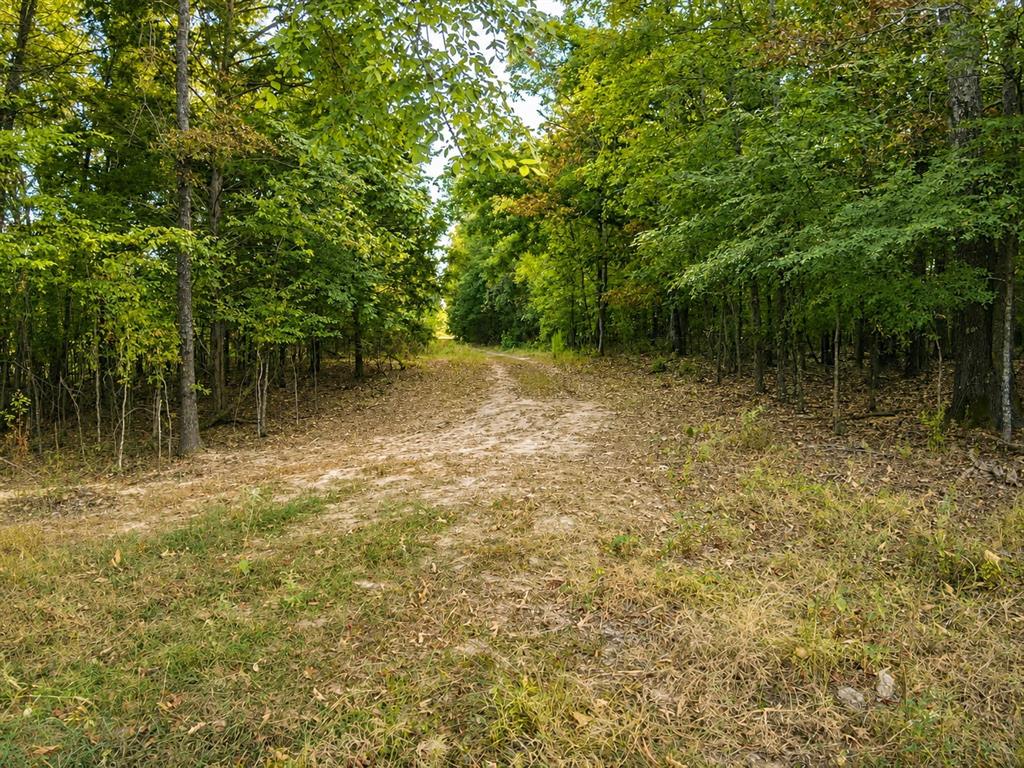 Tbd Fm 410 Property Photo 4