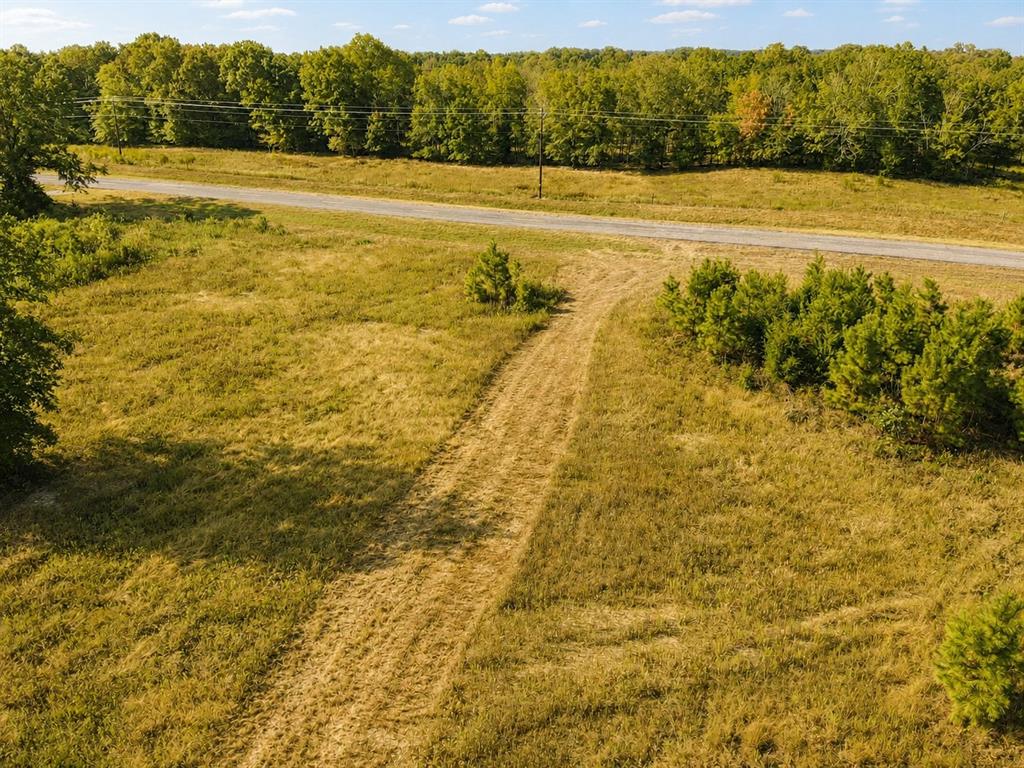 Tbd Fm 410 Property Photo 6