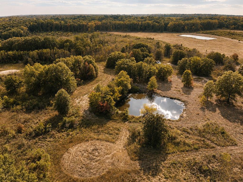 Tbd Fm 410 Property Photo 10