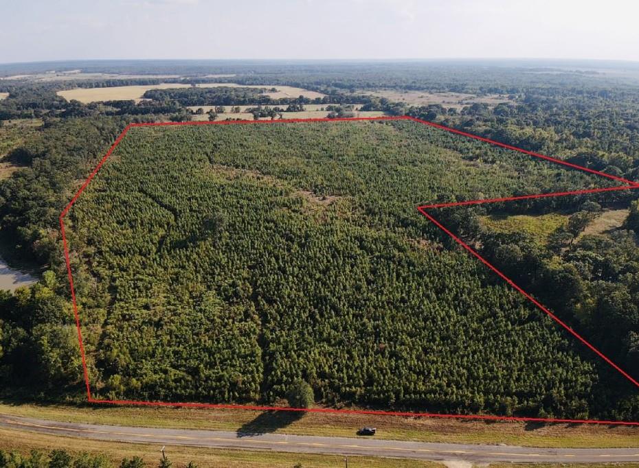 000 Fm 410 Property Photo 11