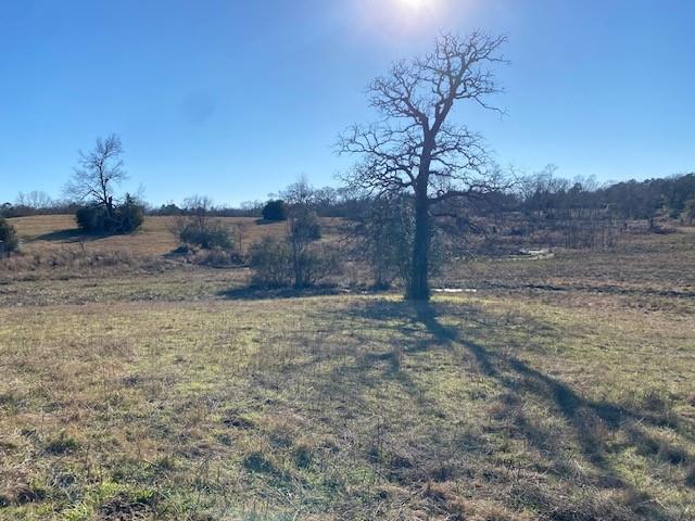 0 County Road 275 Property Photo 8