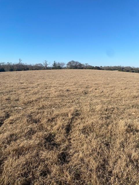 0 County Road 275 Property Photo 12