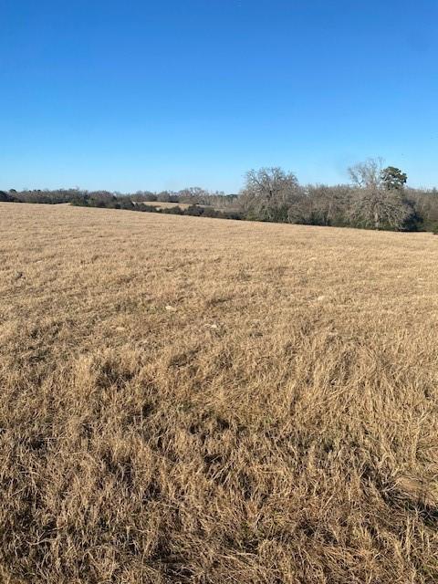 0 County Road 275 Property Photo 14