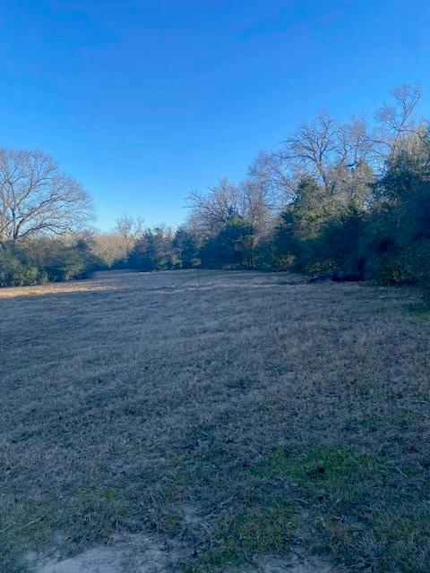 0 County Road 275 Property Photo 15