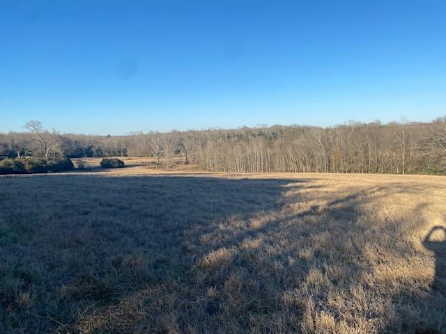 0 County Road 275 Property Photo 17