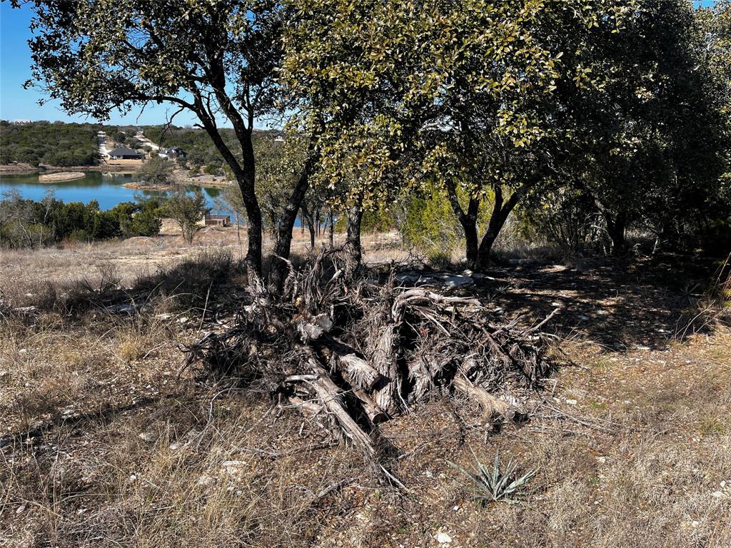 384 Anglers Point Property Photo 10
