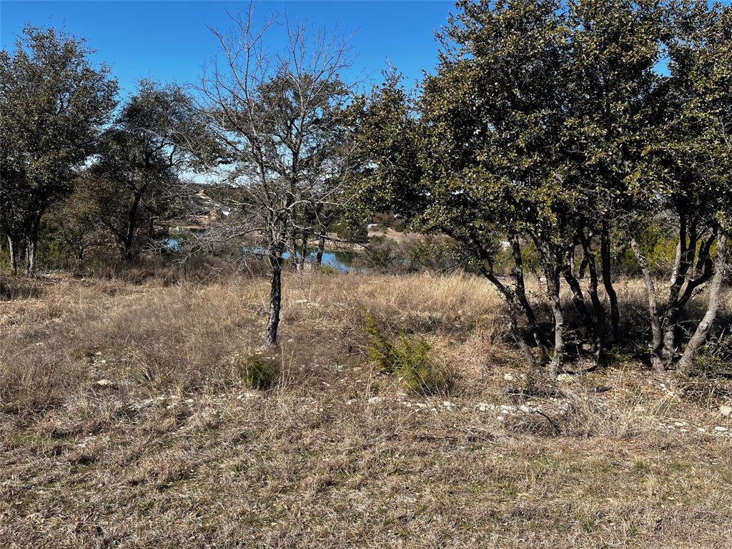 384 Anglers Point Property Photo 12