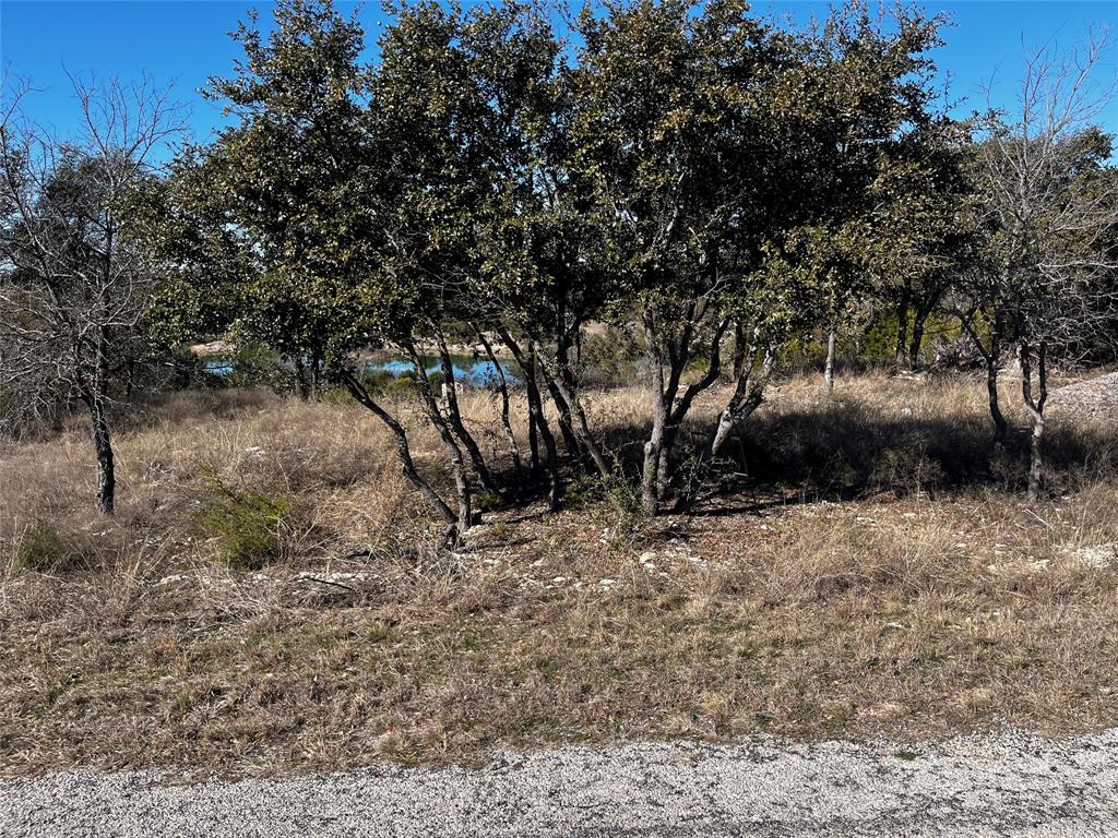 384 Anglers Point Property Photo 13
