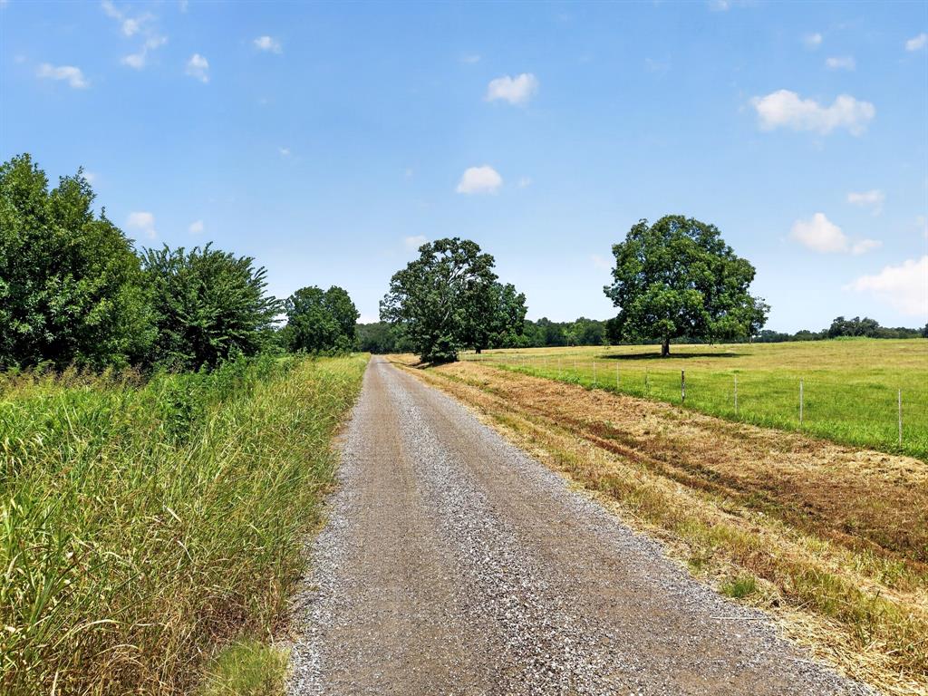 Tbd County Road 4816 Property Photo 5
