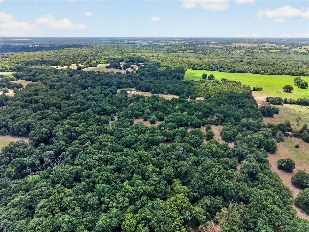 Tbd County Road 4816 Property Photo 18