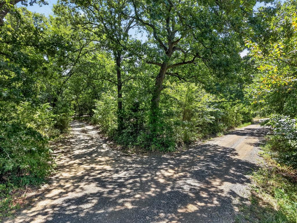 Tbd County Road 4816 Property Photo 19