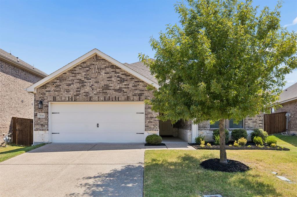 3816 Chicory Court Property Photo 1