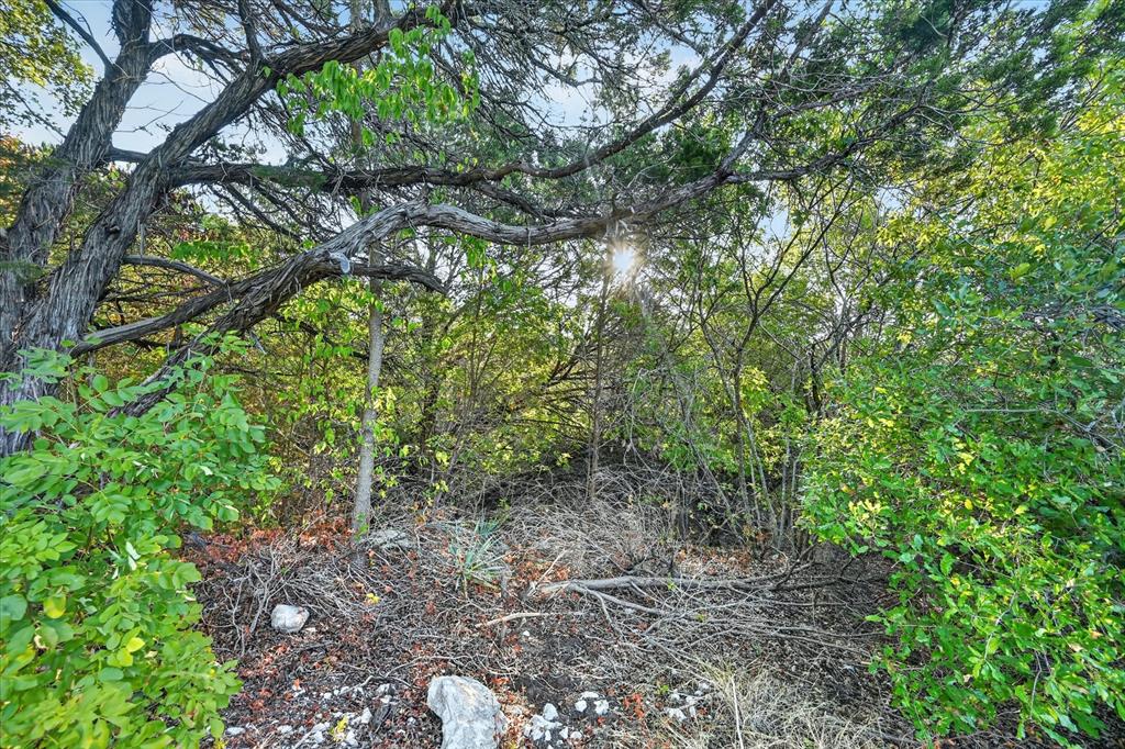 9604 Eagles Nest Court Property Photo 20