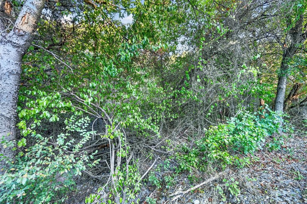 9604 Eagles Nest Court Property Photo 21