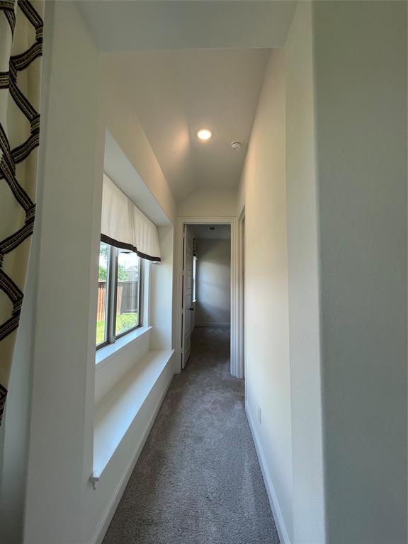 2403 Royal Dove Lane Property Photo 19