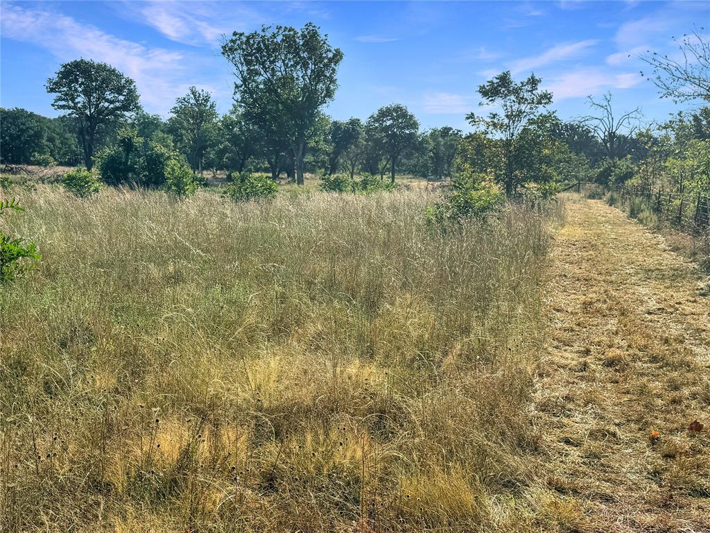 9173 Highway 6 Property Photo 34