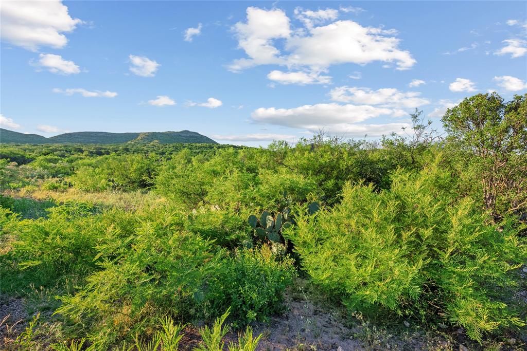 Nueces River Ranch Hwy 55 Property Photo 9