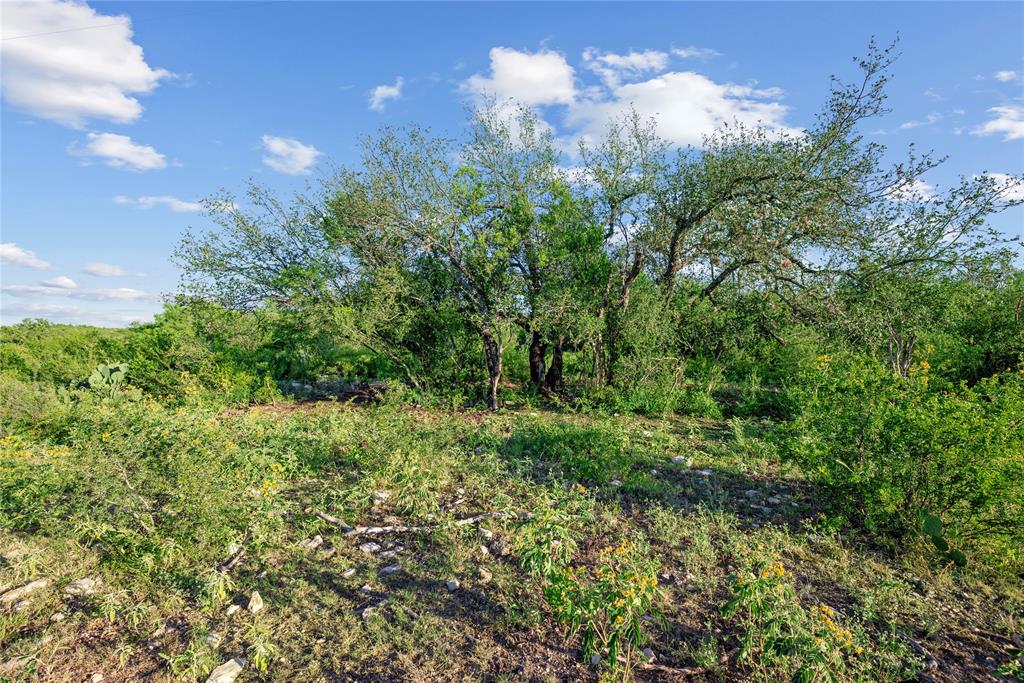 Nueces River Ranch Hwy 55 Property Photo 19
