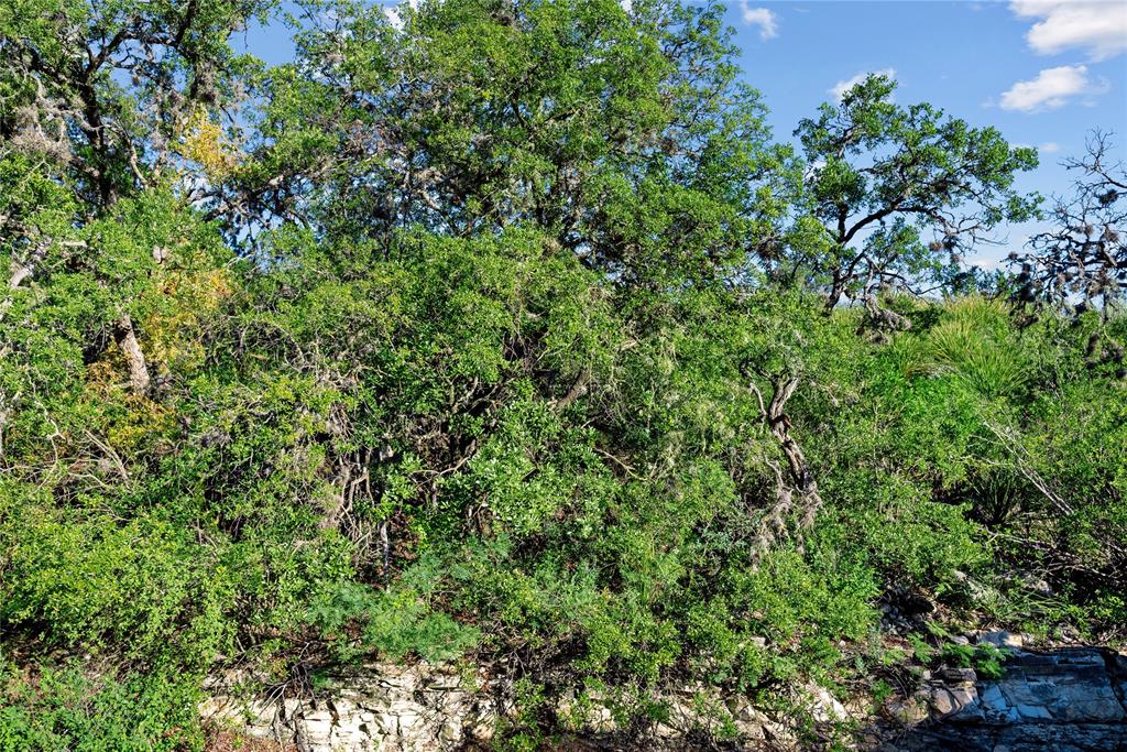 Nueces River Ranch Hwy 55 Property Photo 21