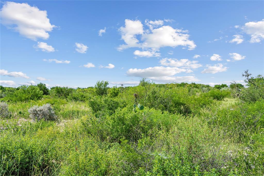Nueces River Ranch Hwy 55 Property Photo 35