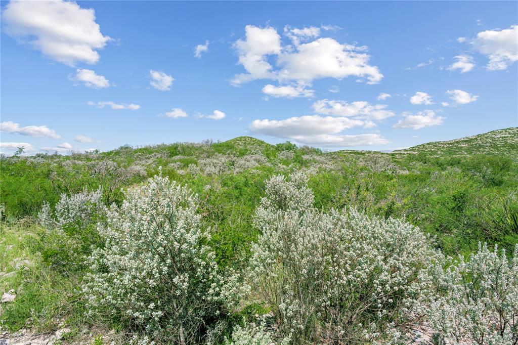 Nueces River Ranch Hwy 55 Property Photo 38