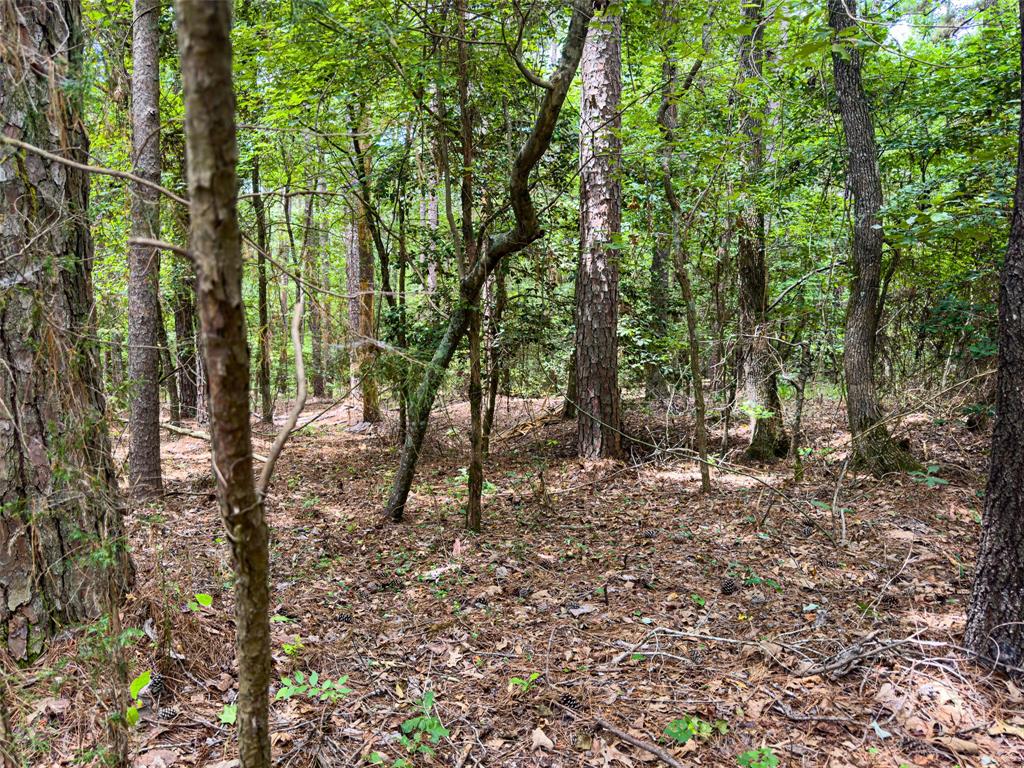 00001 N Cr 1527 Property Photo 15