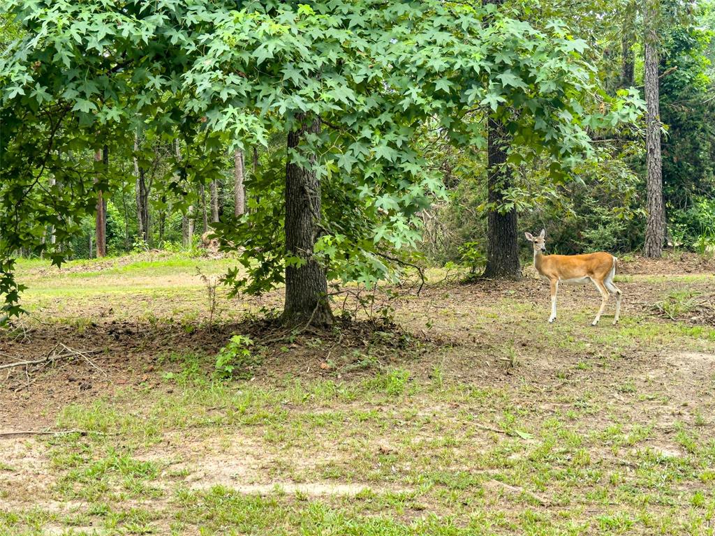 00001 N Cr 1527 Property Photo 17