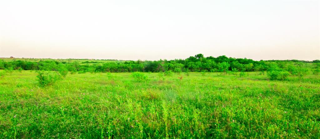 Tbd Cartwright Road Property Photo 2