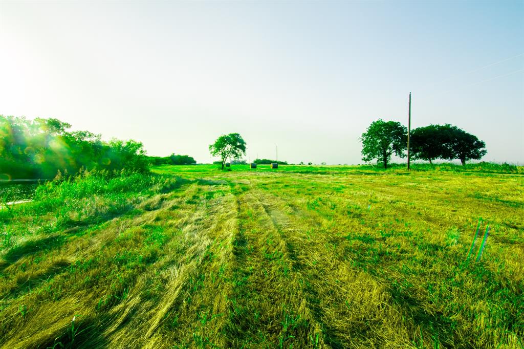 Tbd Cartwright Road Property Photo 4