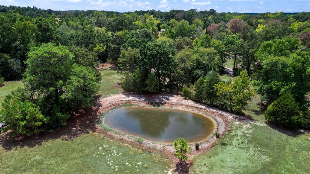 23015 State Highway 64 Property Photo 35