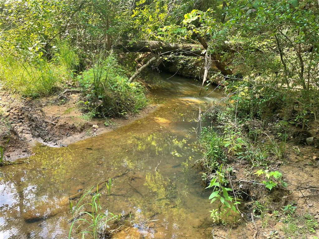 649 An County Road 1215 Property Photo 12